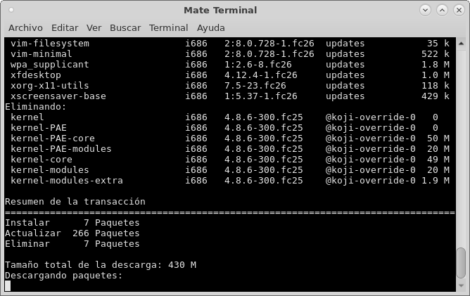 Ejecutando el comando dnf -y update