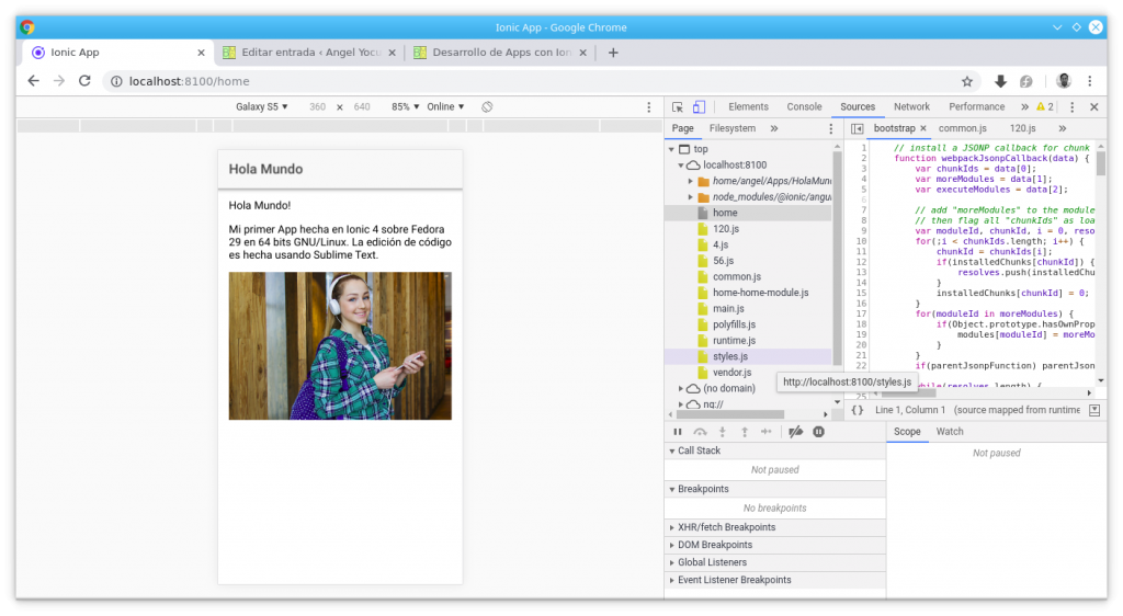 Vista previa de la App en Google Chrome